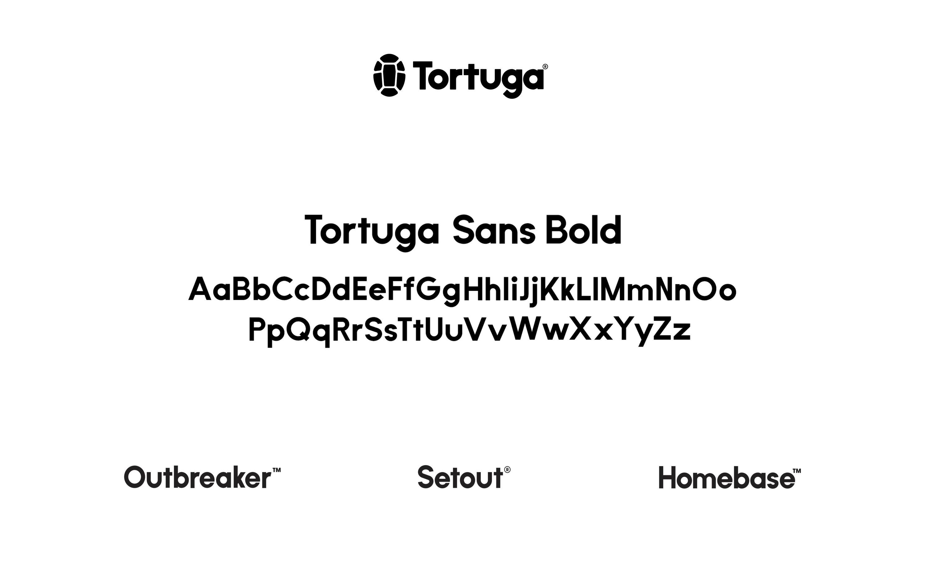 Tortuga Image